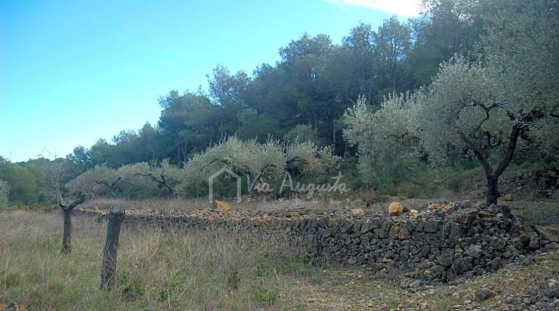 Tarragona - el Perelló - 13520m2