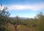 Terreno no urbanizable en venta en la España, el Perelló, ref: TR112858 foto