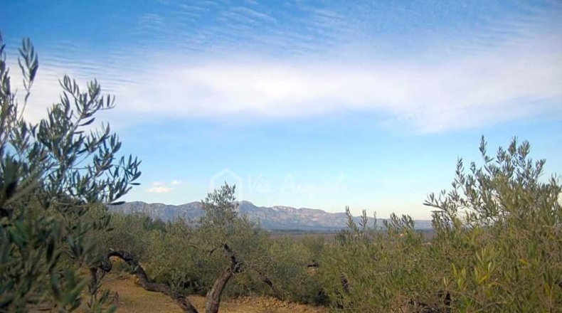 Tarragona - el Perelló - 13520m2