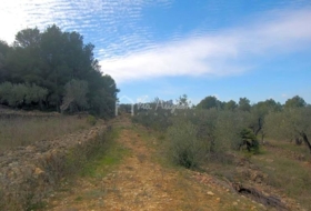 Foto 15