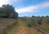 Terreno no urbanizable en venta en la España, el Perelló, ref: TR112858 foto