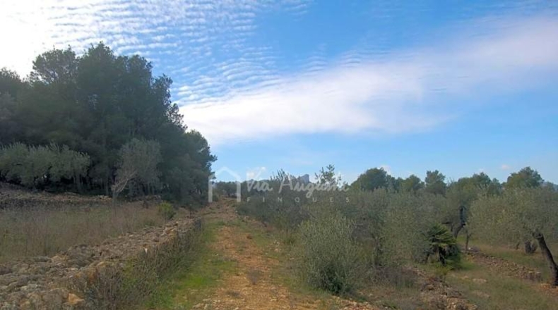 Tarragona - el Perelló - 13520m2
