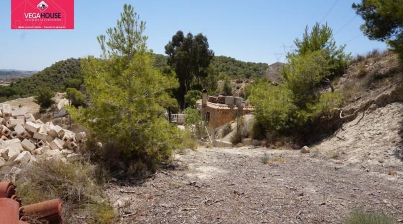 Alicante - Orihuela - 6000m2