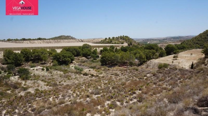 Alicante - Orihuela - 6000m2