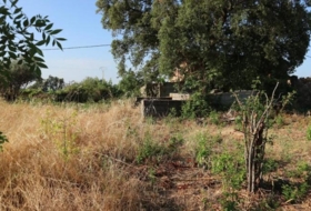 Tejeda de Tiétar 4080&nbsp;m²