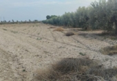 Terreno no urbanizable en venta en la España, Totana, ref: TR276674 foto