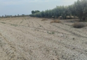 Terreno no urbanizable en venta en la España, Totana, ref: TR276674 foto