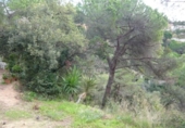 Urban land for sale on España, Lloret de Mar, ref: TR130891 photo