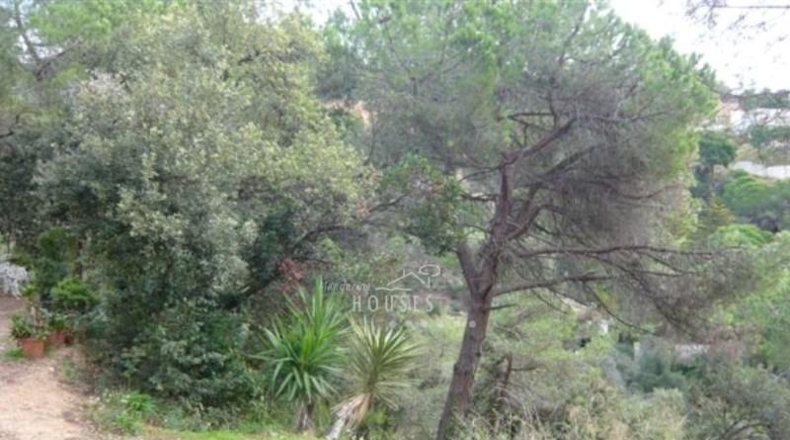Gerona - Lloret de Mar - 1219m2