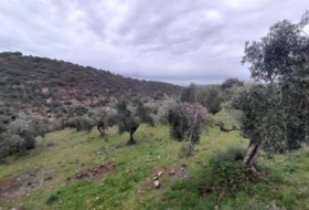Villanueva del Rey 77067&nbsp;m² 