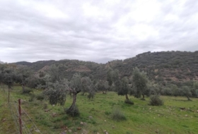 Villanueva del Rey 77067&nbsp;m² 
