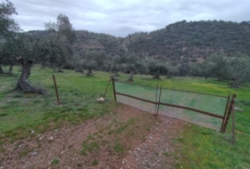Villanueva del Rey 77067&nbsp;m² 