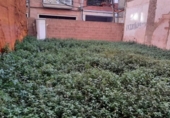 Sòl urbà en venda a la España, Borriana, ref.: TR313838 foto