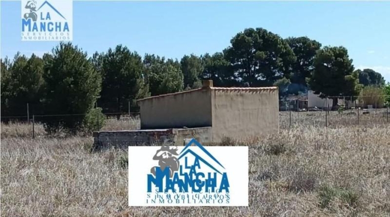 Albacete - Albacete - 4500m2