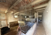 Casa de campo con terreno en venta en la España, Salas Altas, ref: TR338019 foto
