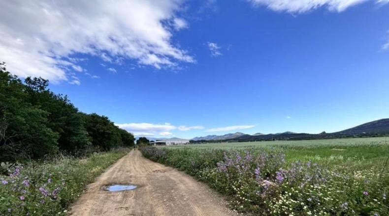 Gerona - Marzà - 10935m2