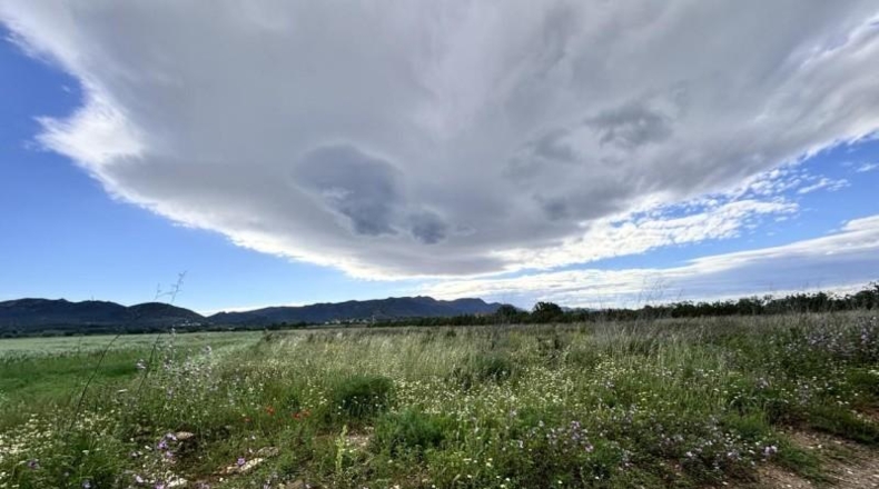 Gerona - Marzà - 10935m2