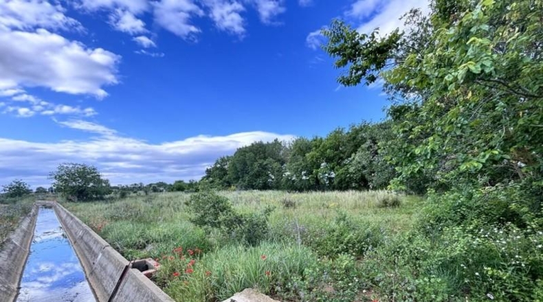 Gerona - Marzà - 10935m2