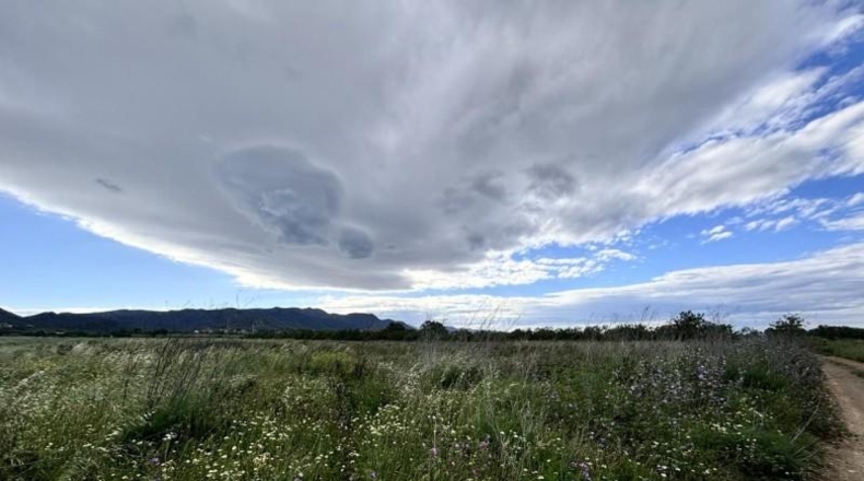 Gerona - Marzà - 10935m2