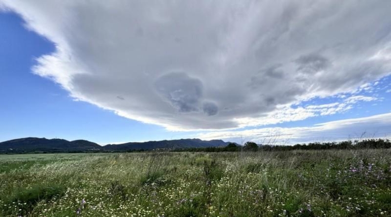 Gerona - Marzà - 10935m2