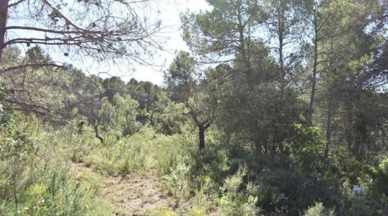 Теруэль - Queretes - 27004m2