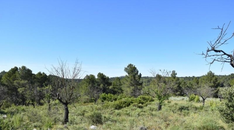 Теруэль - Queretes - 27004m2