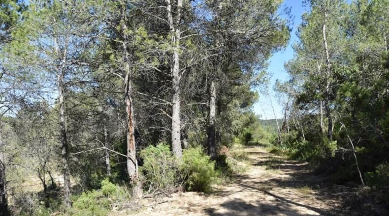 Теруэль - Queretes - 27004m2