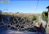 Casa de camp amb terreny en venda a la España, Fortuna, ref.: TR304260 foto