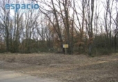 Chalet independiente con terreno en venta en la España, Areces, ref: TR301607 foto
