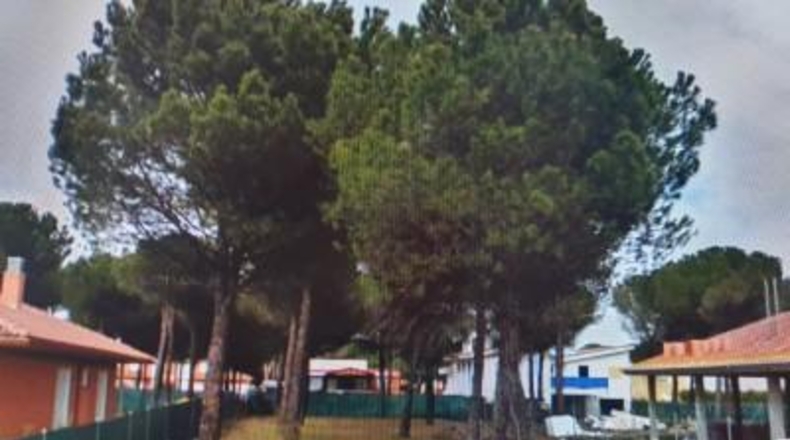 Valladolid - Aldeamayor de San Martín - 719m2