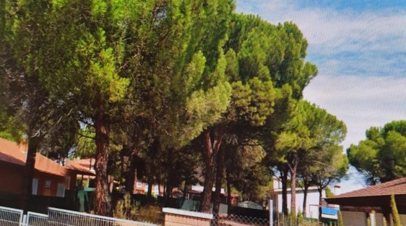 Valladolid - Aldeamayor de San Martín - 719m2