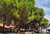 Terreno no urbanizable en venta en la España, Aldeamayor de San Martín, ref: TR122160 foto