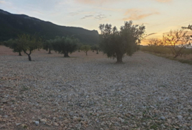 Montealegre del Castillo 55000&nbsp;м²