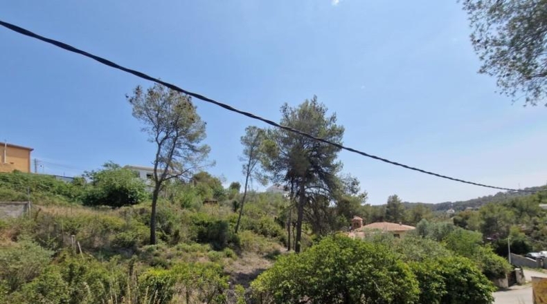 Barcelona - Olivella - 567m2