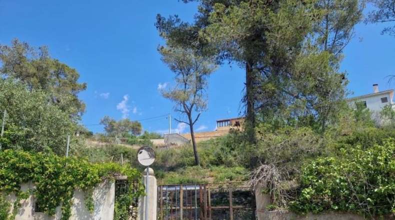 Barcelona - Olivella - 567m2