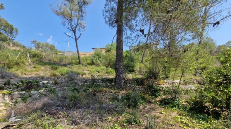 Barcelona - Olivella - 567m2