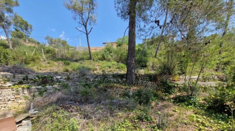 Barcelona - Olivella - 567m2