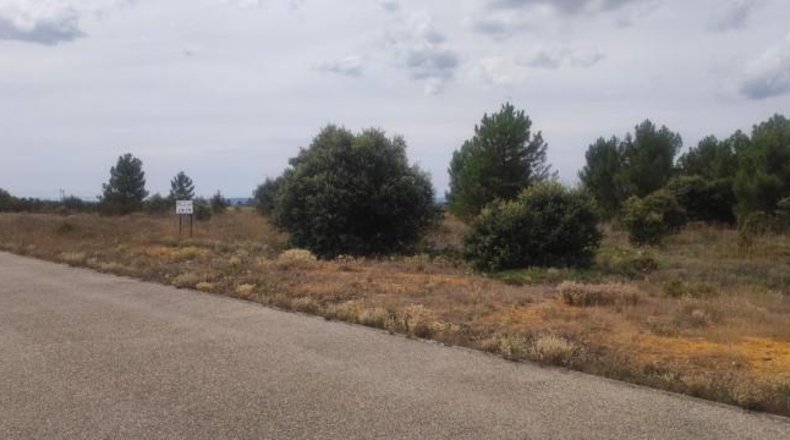 Leon - Garrafe de Torío - 1714m2