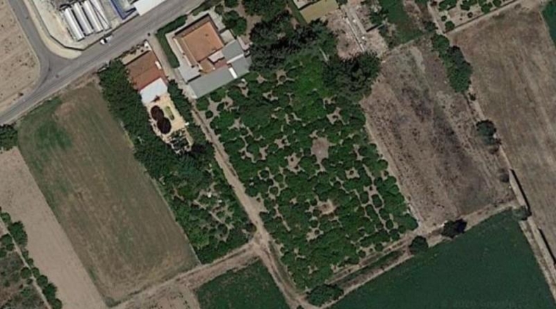 Murcia - Murcia - 2000m2