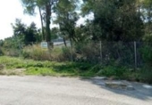 Земля, подлежащая урбанизации на продажу у города Sant Quintí de Mediona Фото