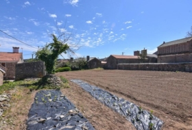 Carballo 779&nbsp;m² 