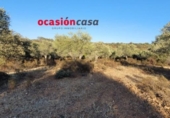 Detached villa with land for sale on España, Villanueva del Duque, ref: TR299915 photo