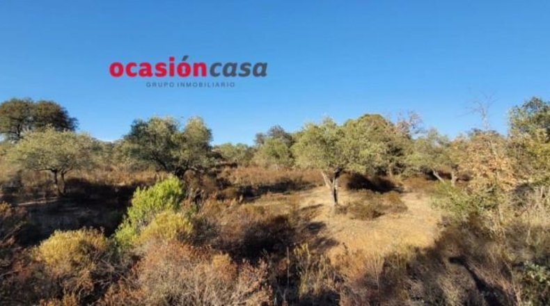 Кордова - Вильянуэва дель Дуке - 14000m2