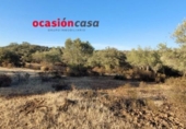 Detached villa with land for sale on España, Villanueva del Duque, ref: TR299915 photo