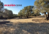 Detached villa with land for sale on España, Villanueva del Duque, ref: TR299915 photo