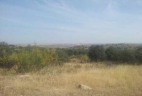 Toledo 2937&nbsp;m² 