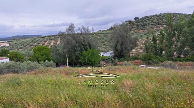 Córdoba - Lucena - 1800m2