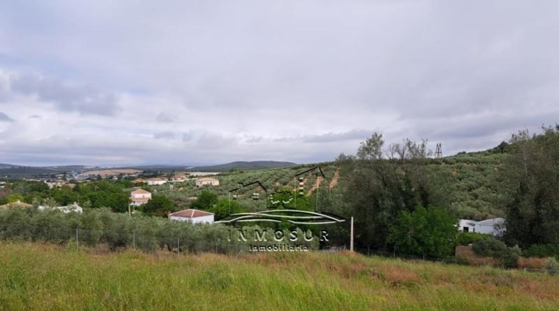 Córdoba - Lucena - 1800m2