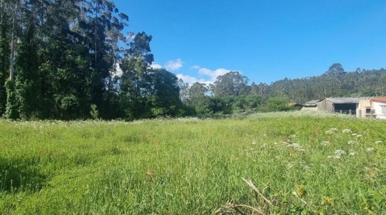 Pontevedra - Zacande - 2874m2