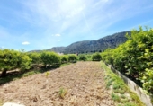 Terreny no urbanitzable en venda a la España, Múrcia, ref.: TR232513 foto